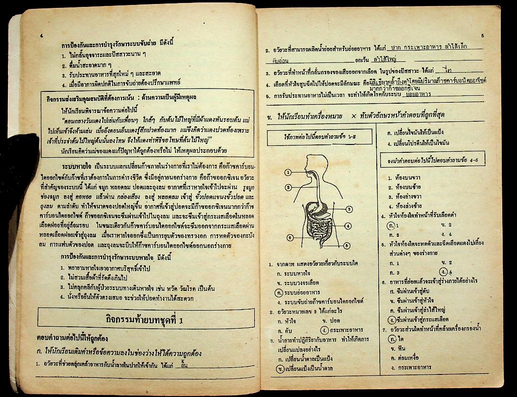 เฉลย แบบเรียนมาตรฐาน ฉบับพิเศษ สปช. ชั้นประถมศึกษาปีที่ 6