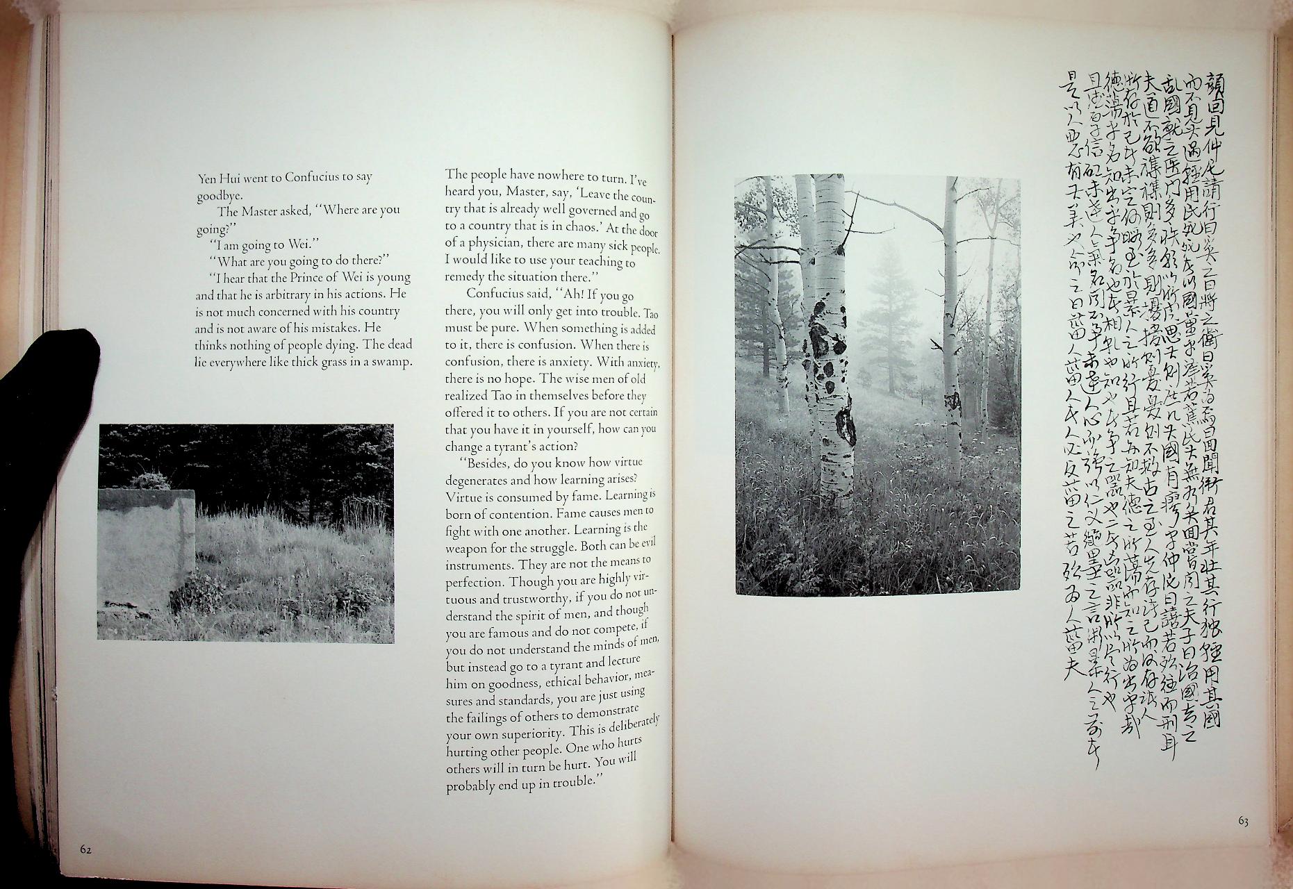 CHUANG TSU INNER CHAPTERS