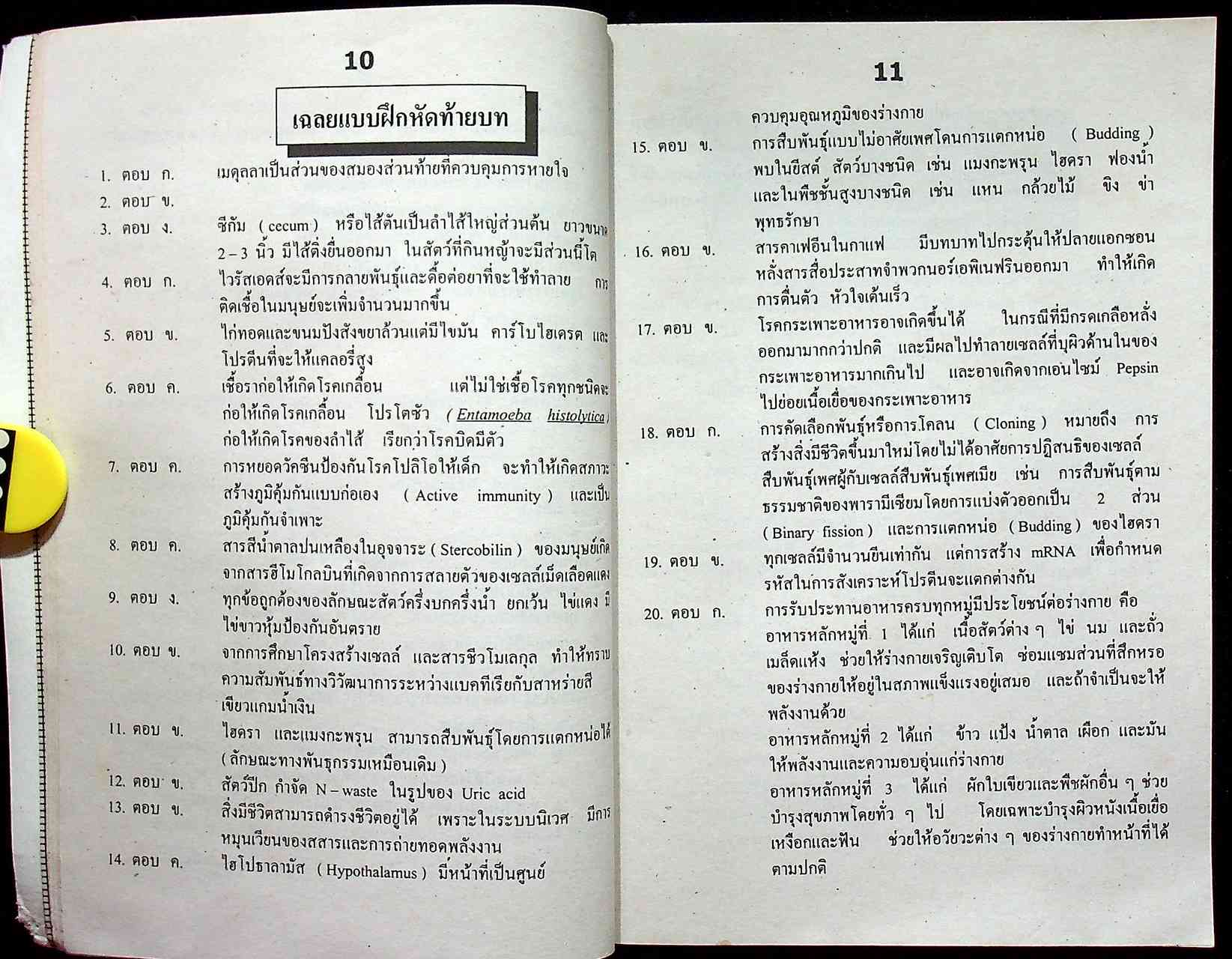 สรุปชีววิทยา ม.4 รวมเล่ม 1-2 ช่วงชั้นที่ 4