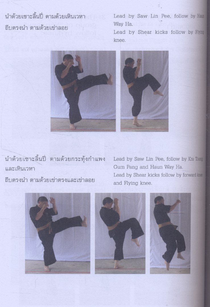 มวยไทยชัยสวัสดิ์ ศิลปะการต่อสู้ด้วยมือเปล่าของไทย