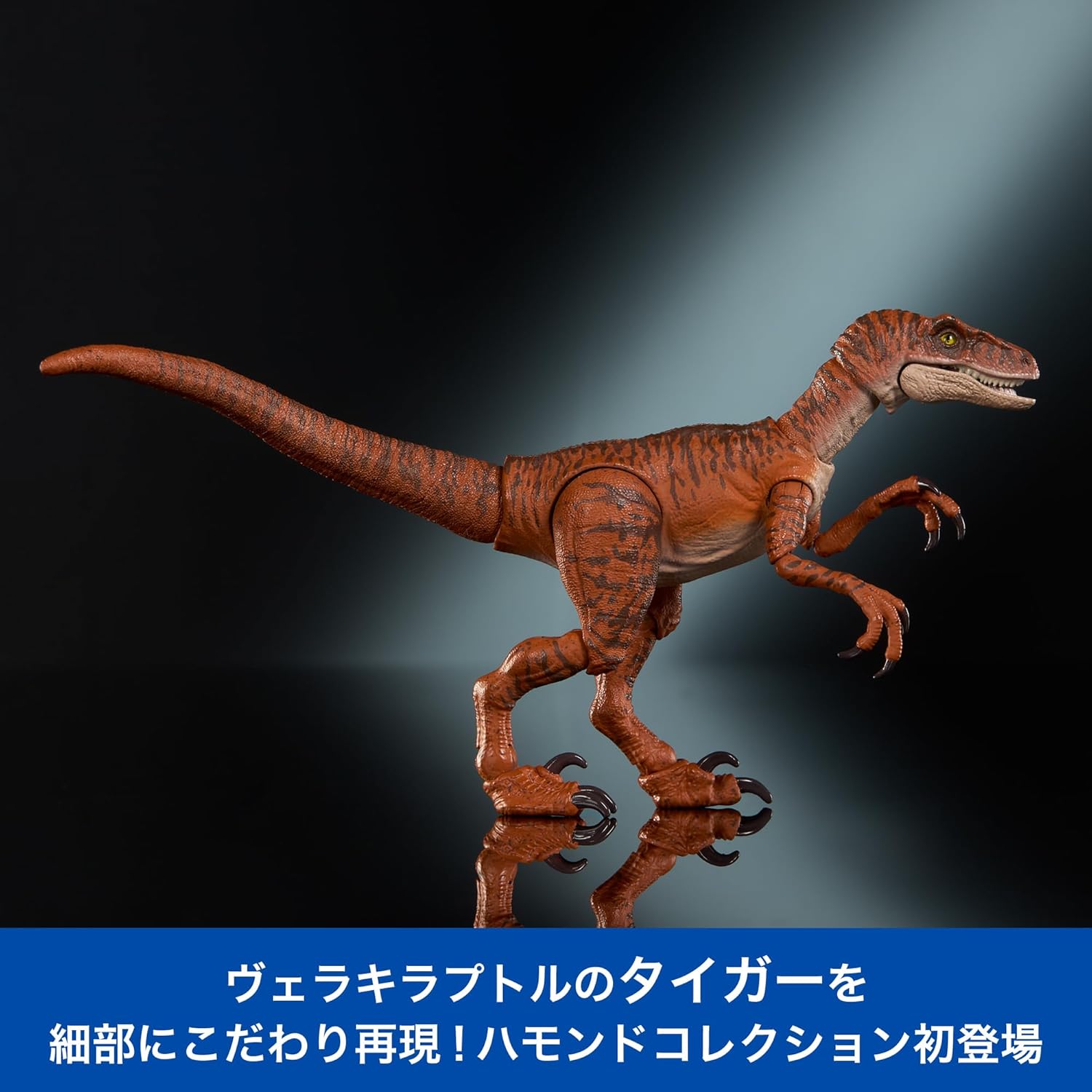 **MTS Toys**Mattel Jurassic World Hammond Collection : JDJ09 Velociraptor [True FX] [ความยาวจากหัวถึงหาง 20 ซ.ม.]