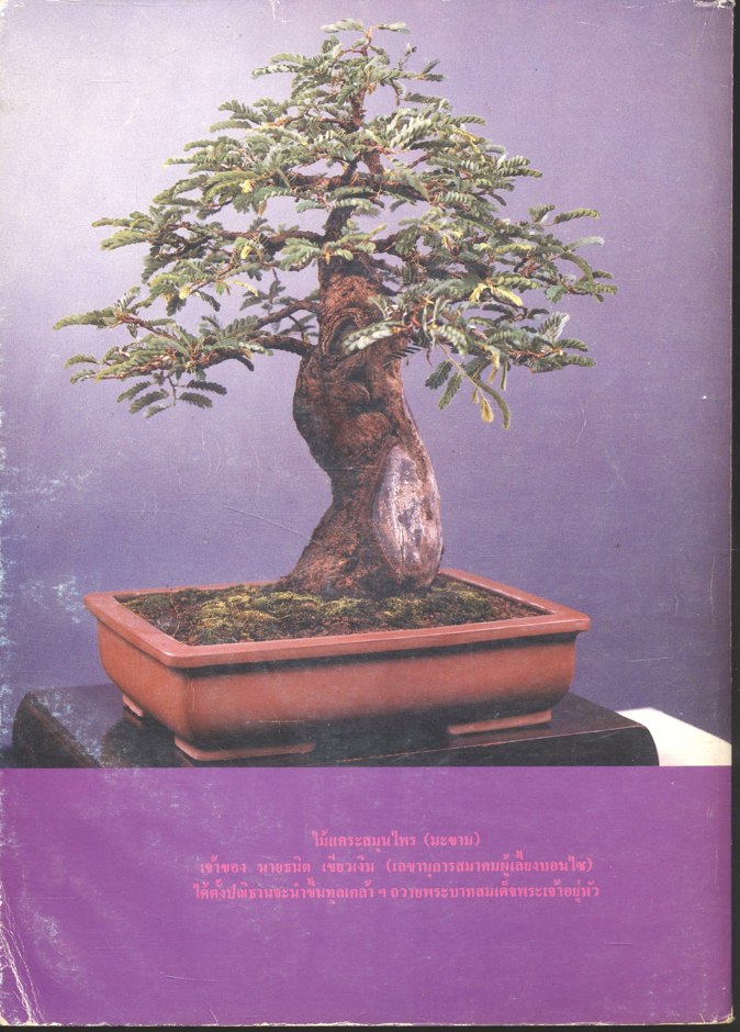 รวมเรื่องราวต่างๆ เกี่ยวกับ โครงการตามพระราชดำริสวนป่าสมุนไพร คำบรรยายในการอบรมหลักสูตรพิเศษ ประสบการณ์ในการใช้สมุนไพร