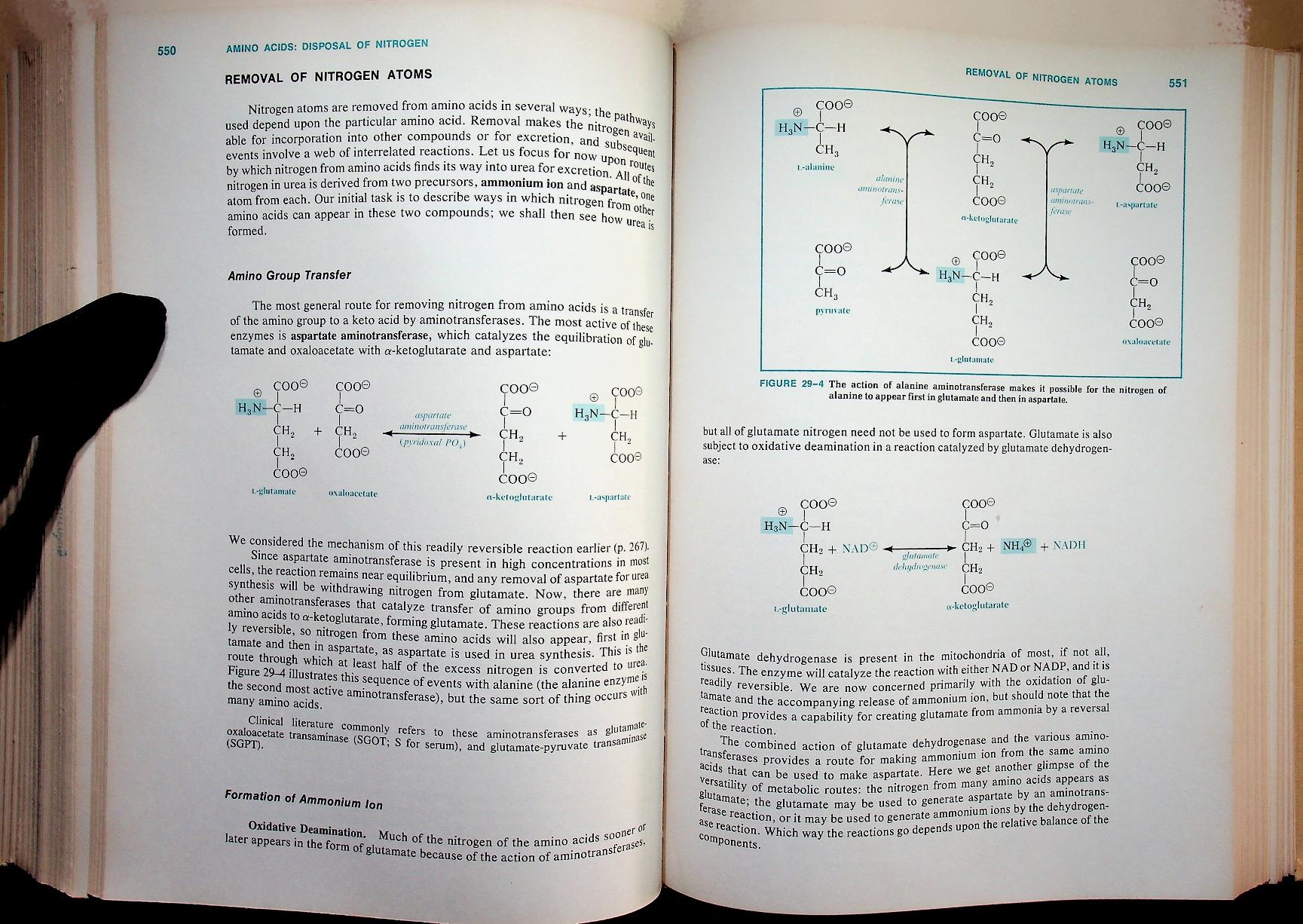 BIOCHEMISTRY A Functional Approach
