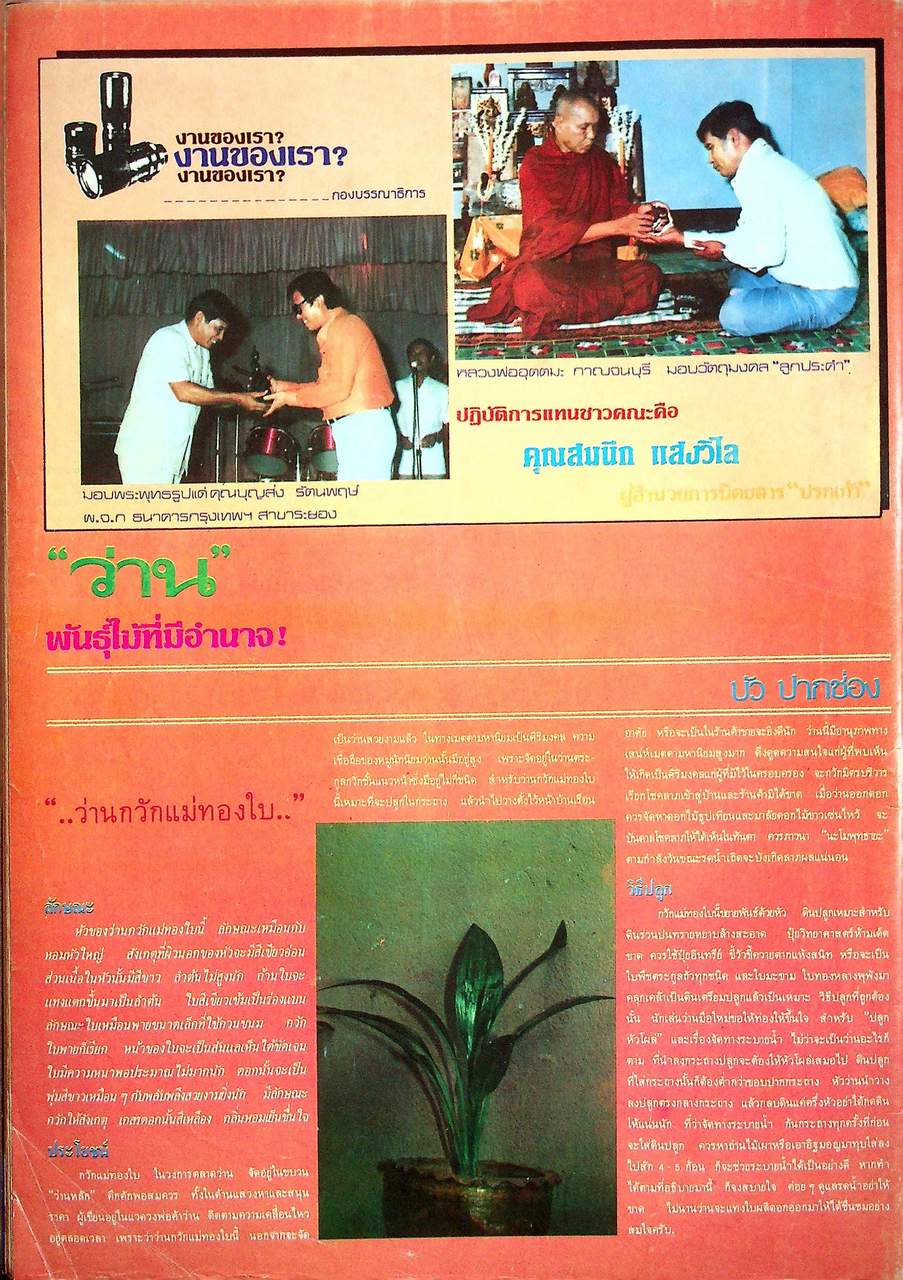 ปรกเก้า ขายเหมา5 เล่ม