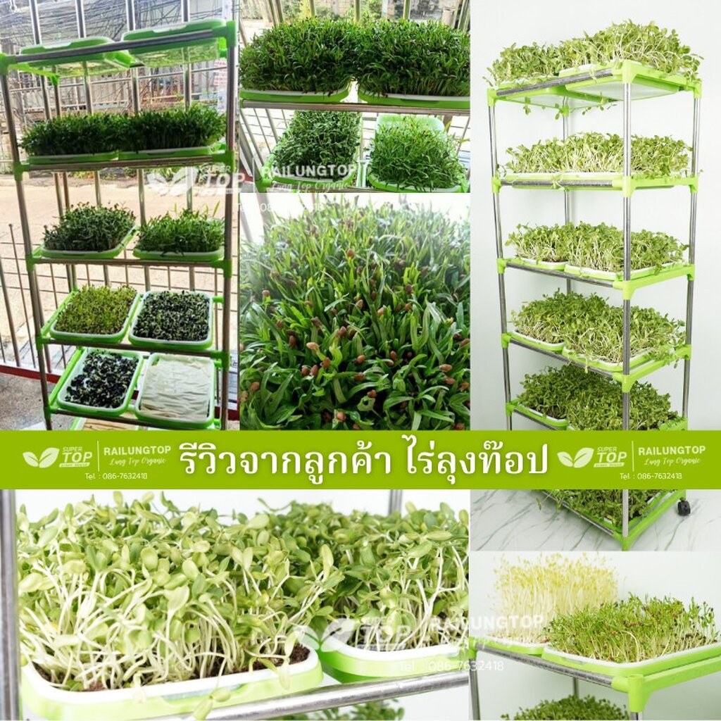 ชุดชั้นปลูกไมโครกรีนพร้อมถาด SUPERTOP Hydrosprout Shelf
