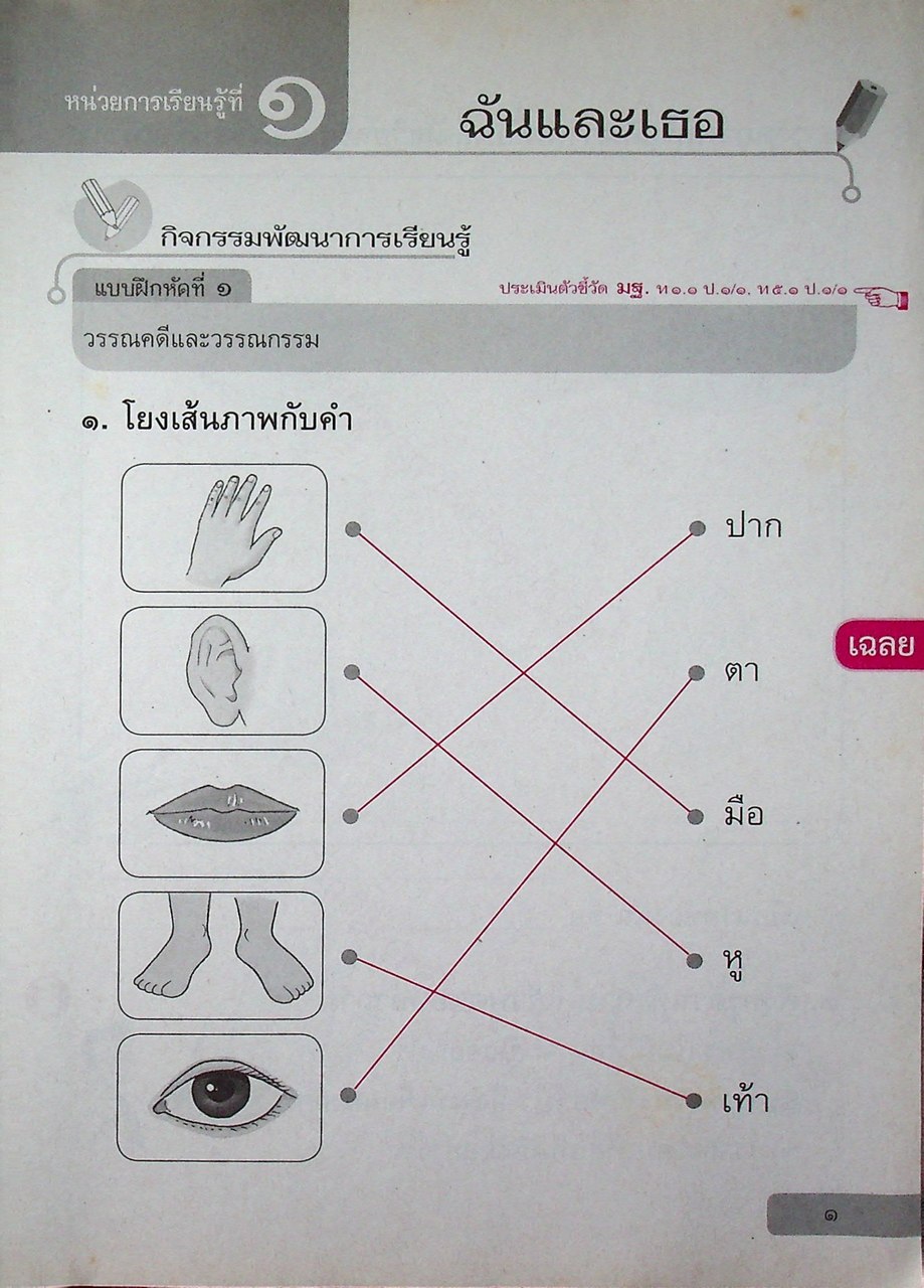 เฉลย สำหรับผู้สอน แบบฝึกหัด รายวิชาพื้นฐาน ภาษาไทย ชั้นประถมศึกษาปีที่ ๑