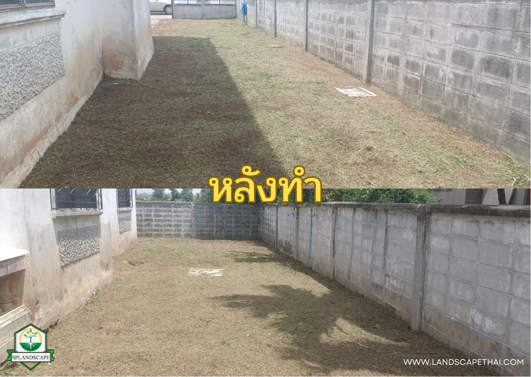 บริการรับตัดหญ้า เคลียร์ริ่ง ถางป่า โทร 094-515-7920 บริการรับตัดหญ้า เคลียร์ริ่ง ถางป่า โทร 094-515-7920