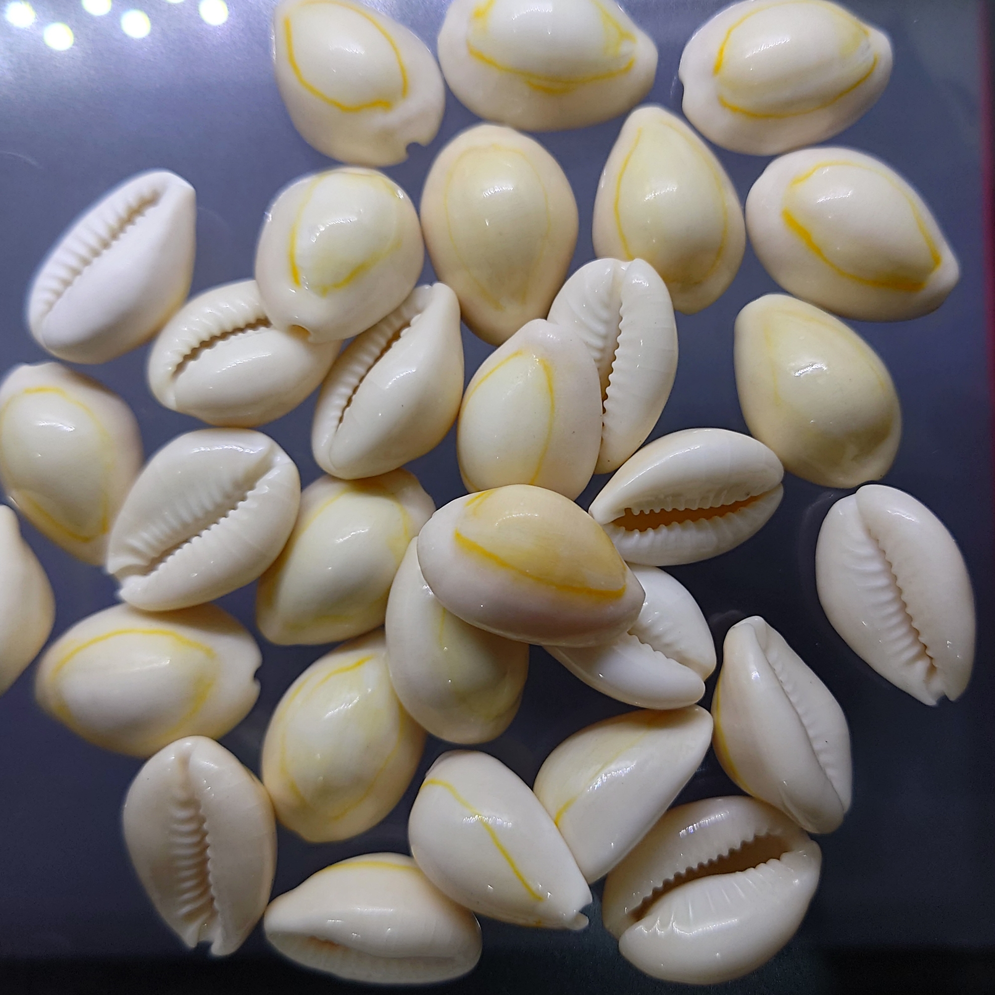 เบี้ยจั่น โบราณ