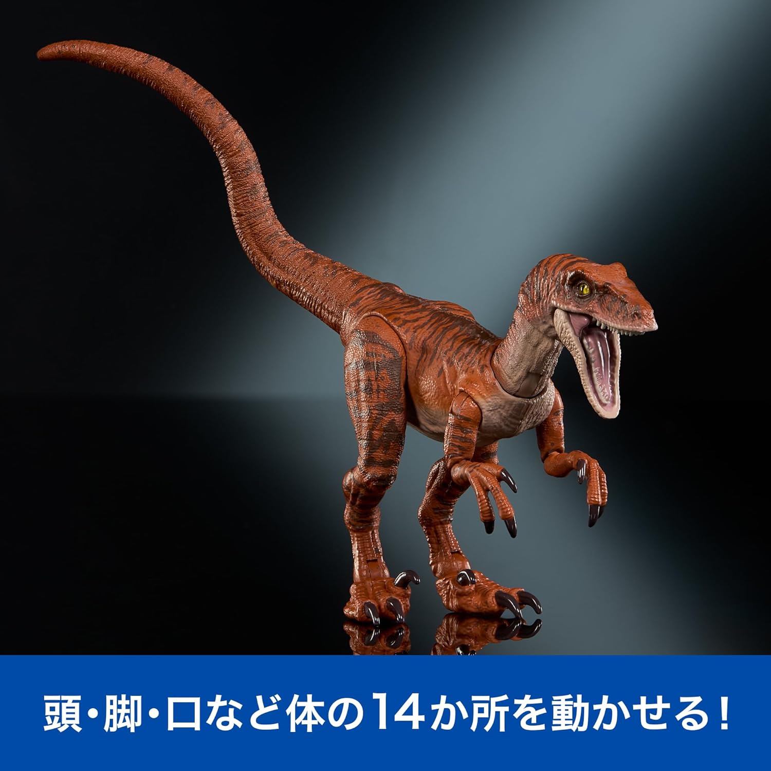 **MTS Toys**Mattel Jurassic World Hammond Collection : JDJ09 Velociraptor [True FX] [ความยาวจากหัวถึงหาง 20 ซ.ม.]