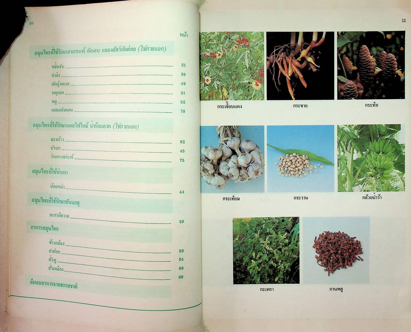 สมุนไพรใกล้ตัว