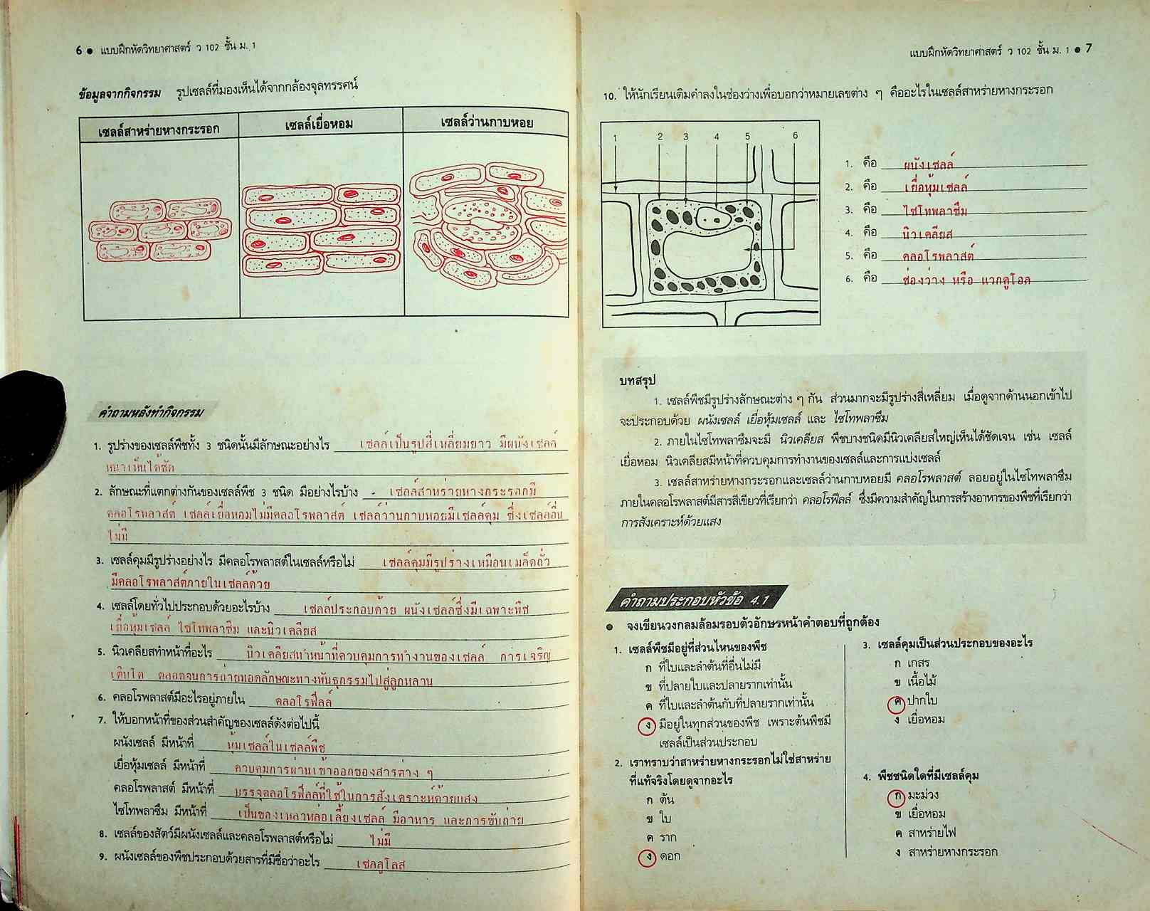 คู่มือครู-เฉลย แบบฝึกหัด วิทยาศาสตร์ ว 102 ชั้นมัธยมศึกษาปีที่ 1 ภาคเรียนที่ 2