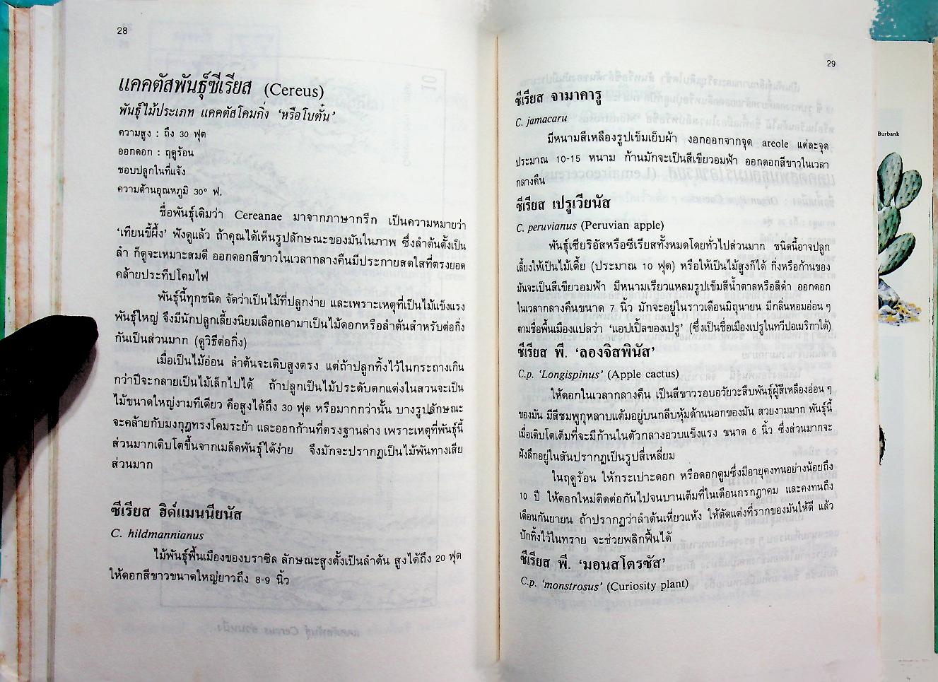ตำราปลูกเลี้ยงและขยายพันธุ์ แคคตัส และไม้ใบอวบ
