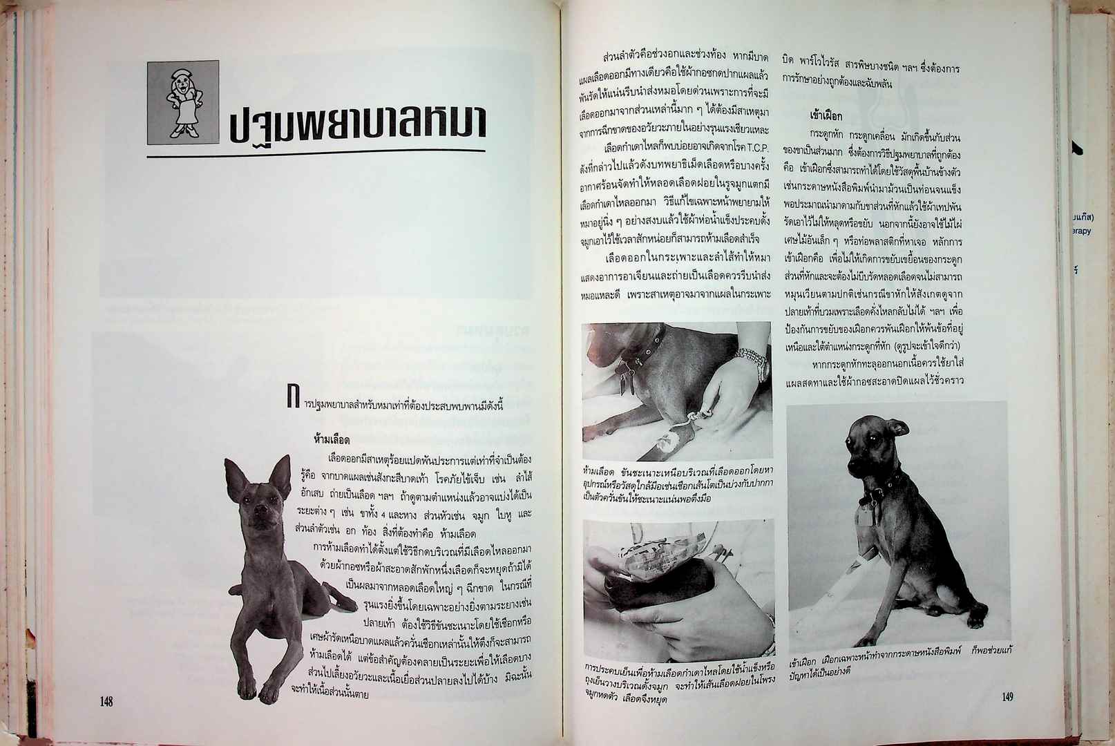 คู่มือคนรักหมา