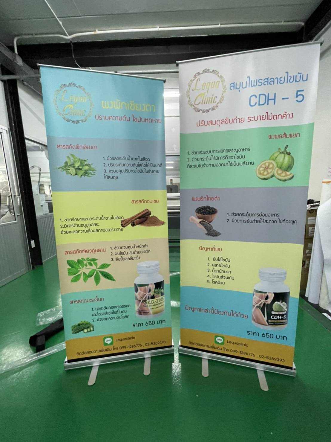 ป้ายโรลอัพ ROLL-UP งานสมุนไพรสลายไขมัน CDH-5