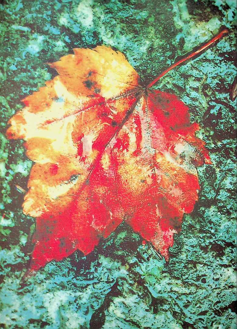 คู่มือการผลิตน้ำบริโภค ในภาชนะบรรจุที่ปิดสนิท