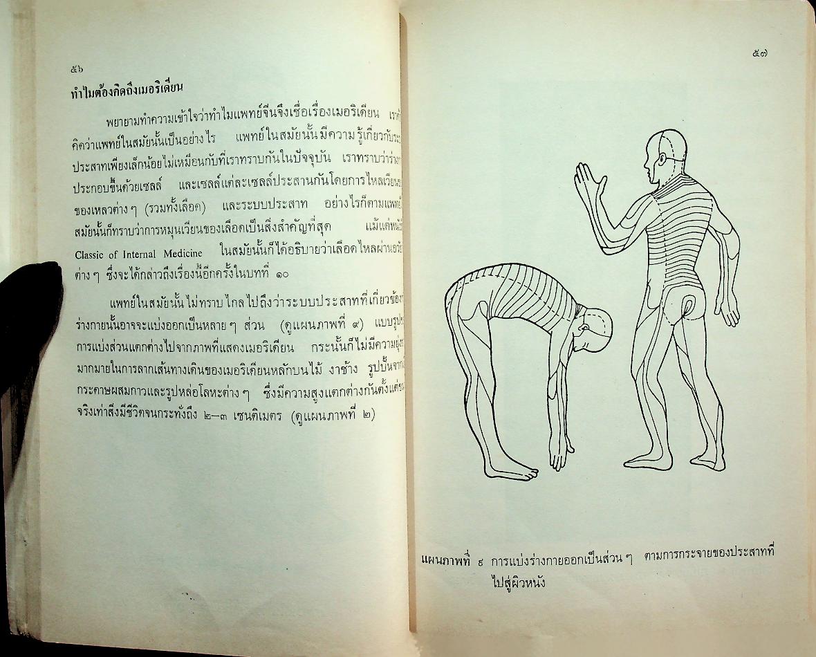 การฝังเข็ม งานแปลของสำนักงานคณะกรรมการวิจัยแห่งชาติ อันดันที่ 104