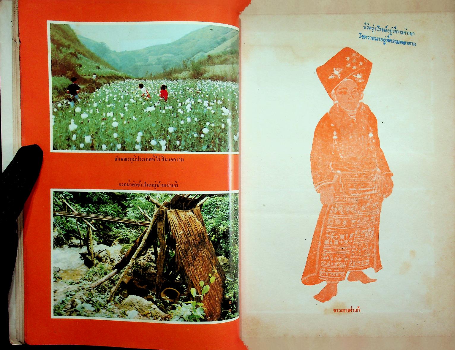 ชาวเขาเผ่า เย้า