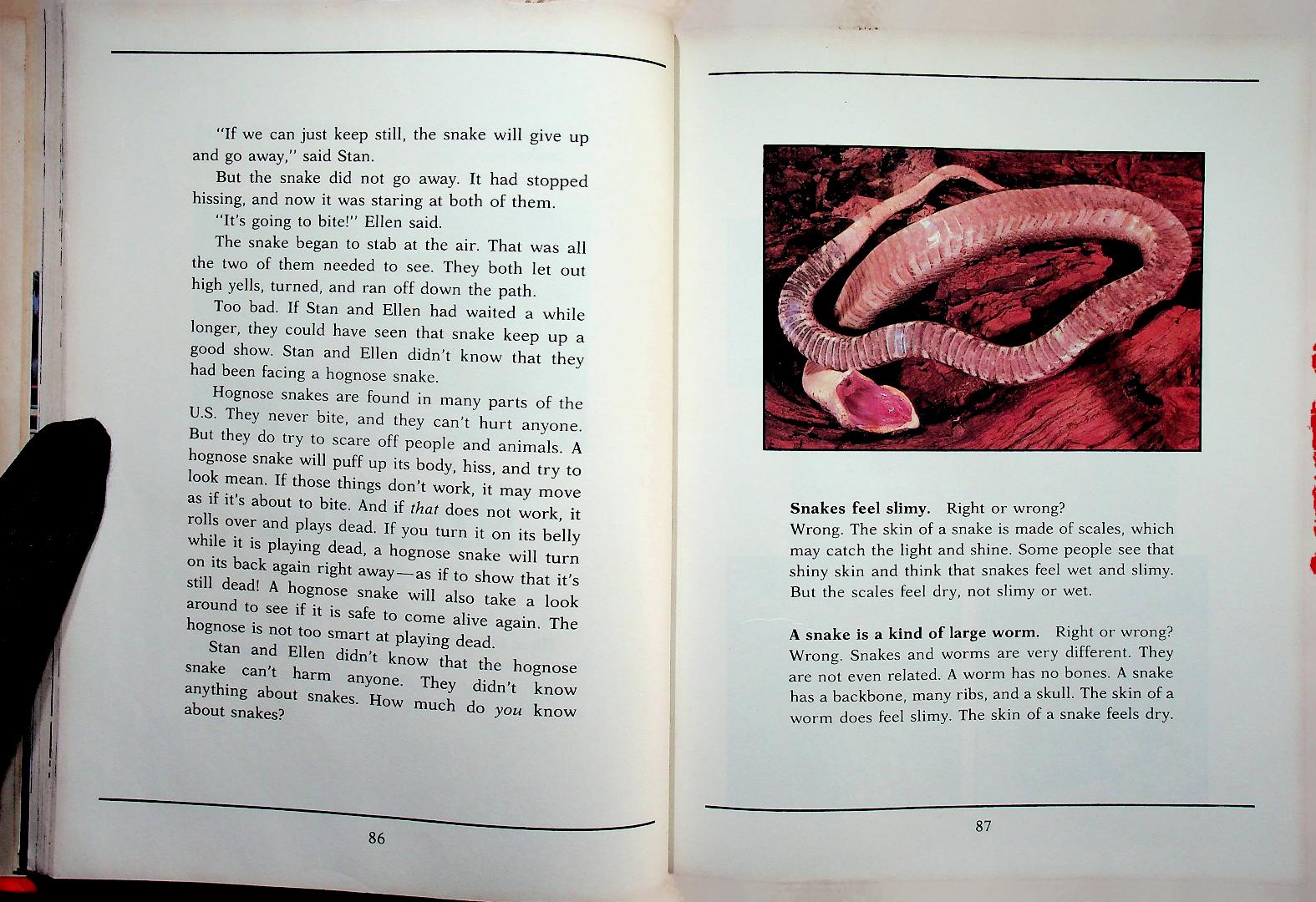 WINGS FORTUNES TEXAS (NEW DIRECTIONS IN READING)