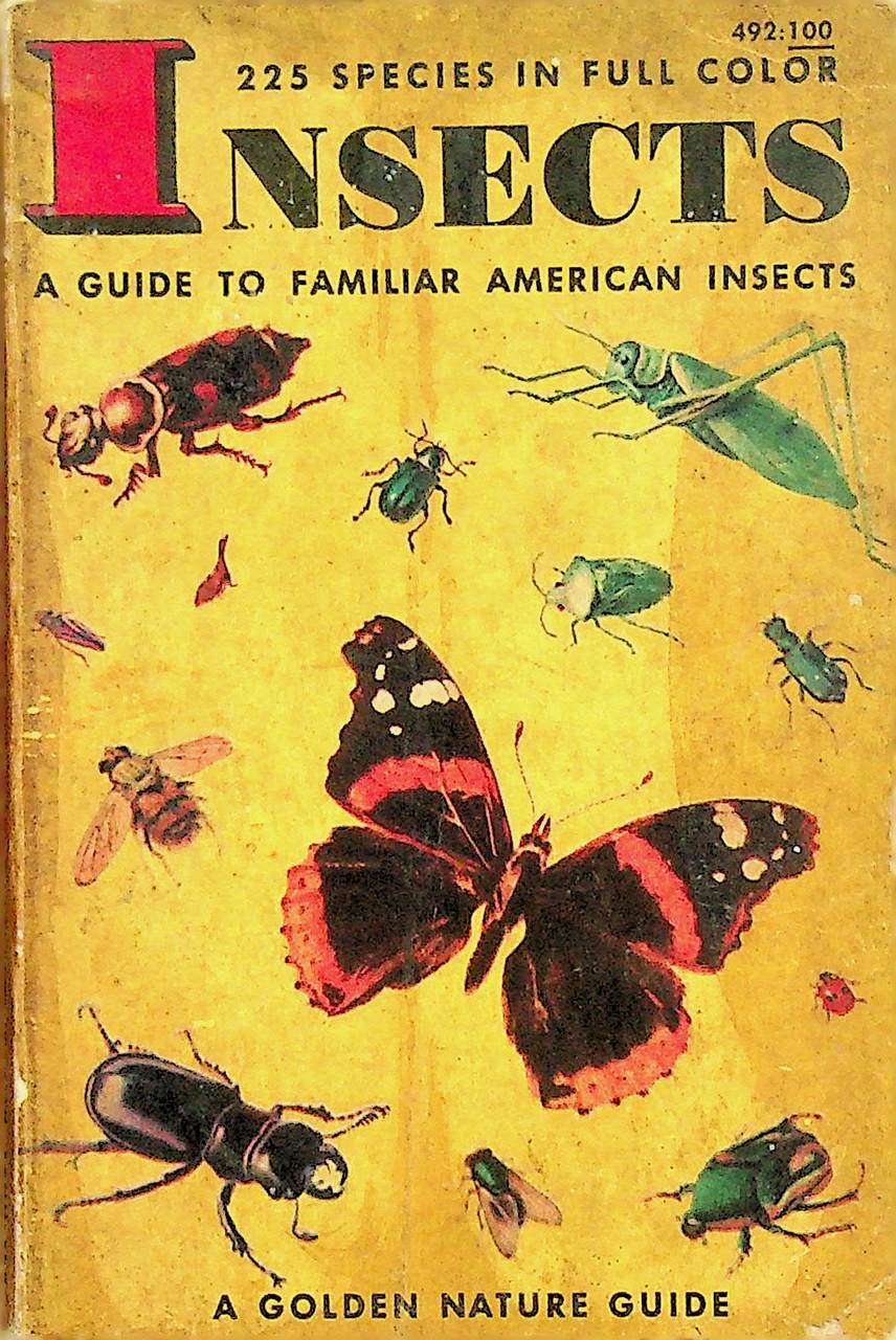 225 SPECIES IN FULL COLOR INSECTS A GUIDE TO FAMILIAR AMERICAN INSECTS
