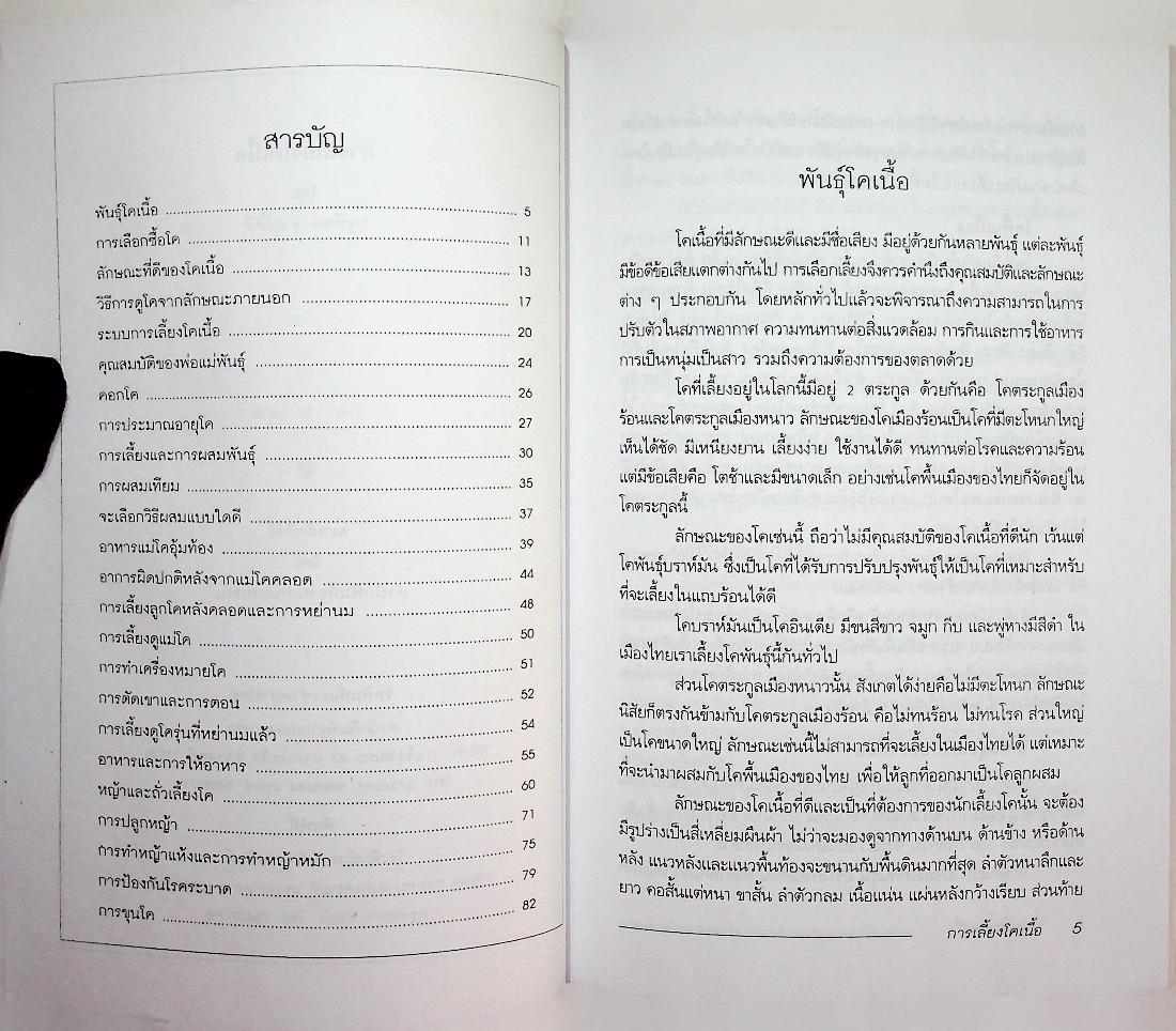 การเลี้ยงโคเนื้อ