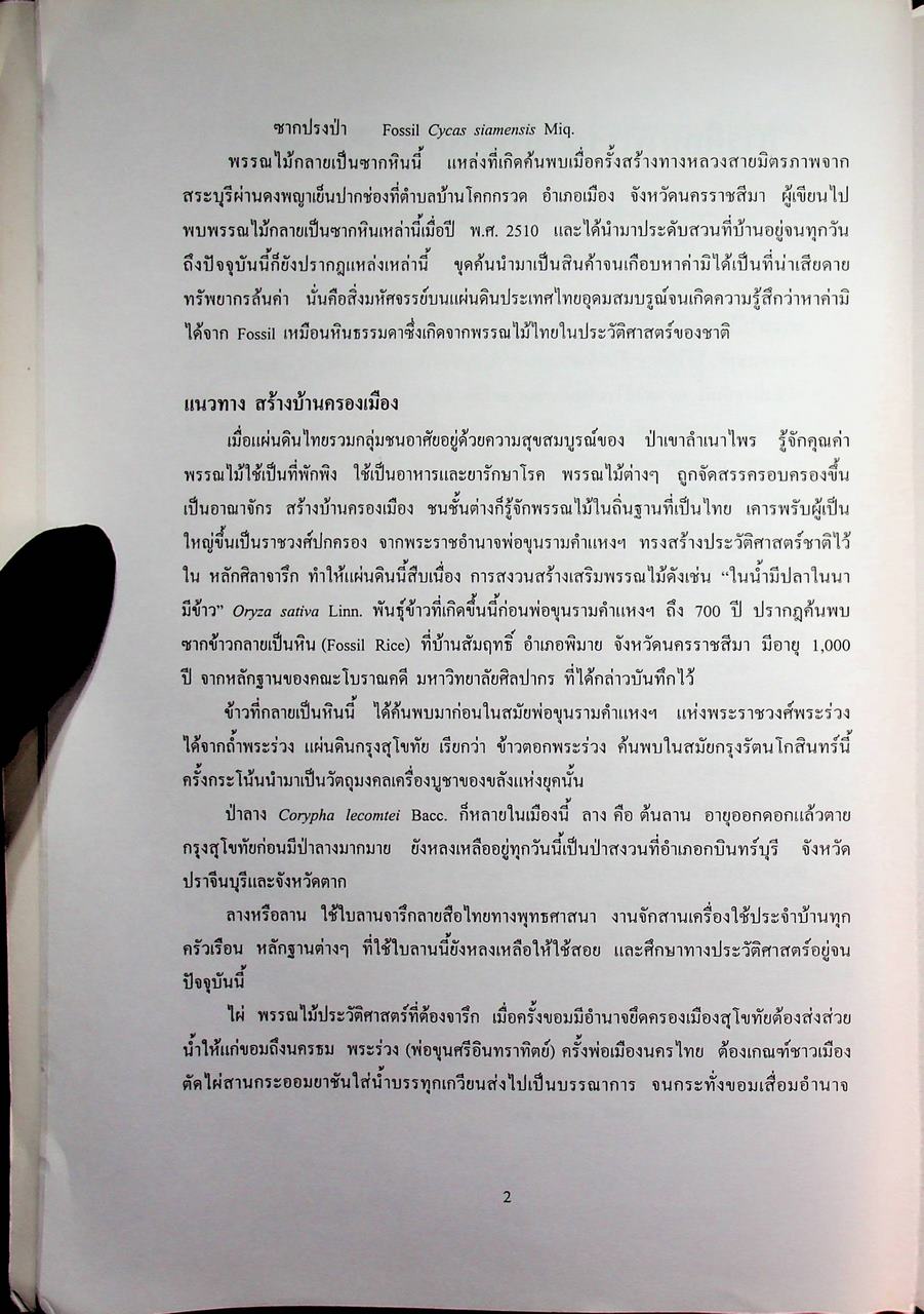 แนวทางในการศึกษาความหลากหลายทางชีวภาพ