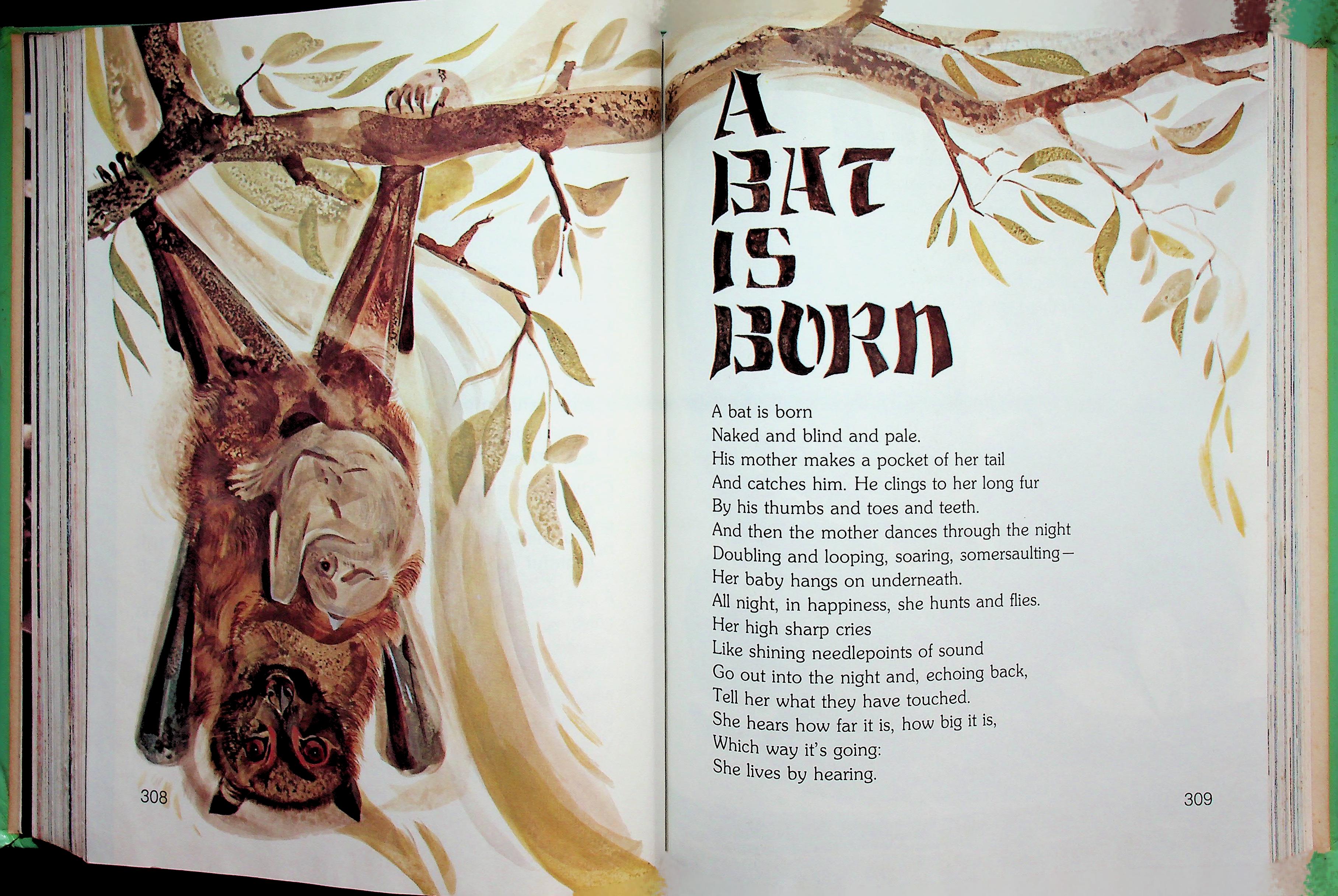 MAKING CHOICES : HEATH AMERICAN READERS