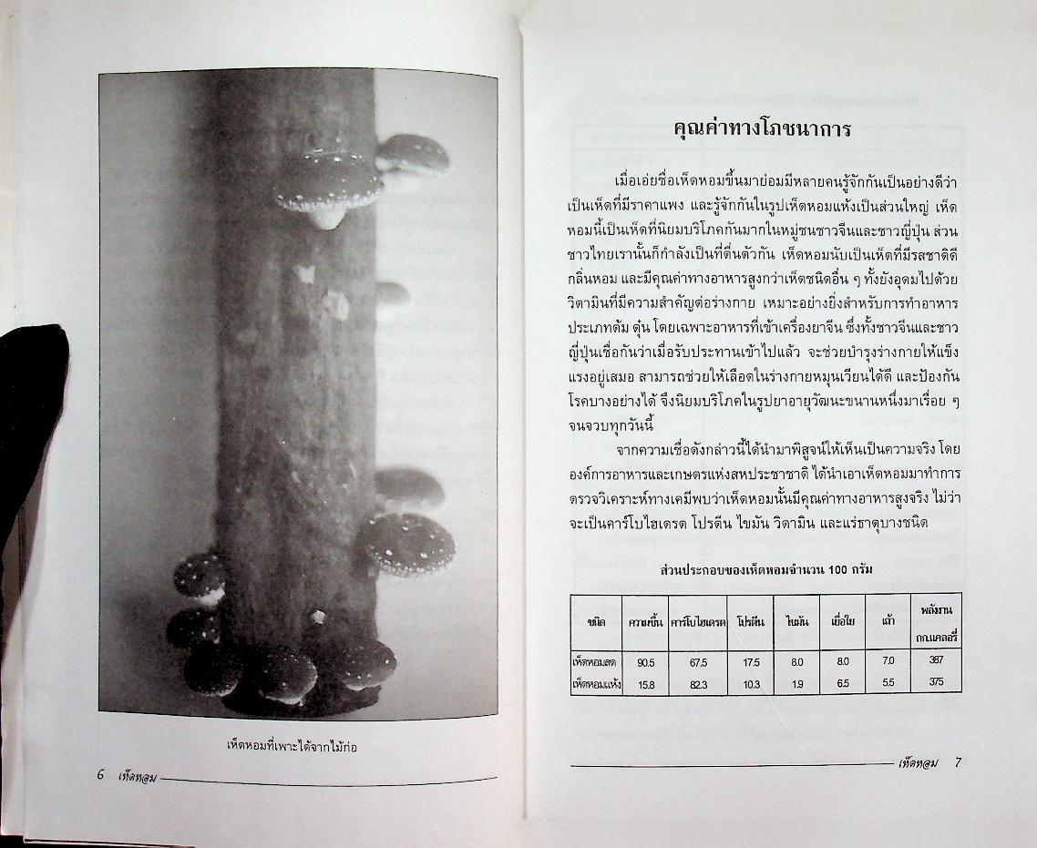 เห็ดหอม