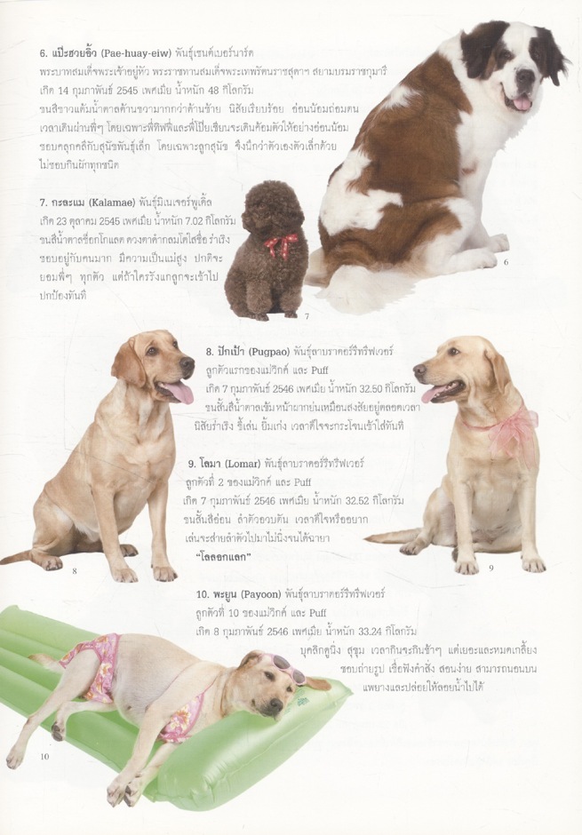 สัตว์เลี้ยงวังสระปทุม สิรินธร. DIARY 2549/2006 (เป็นหนังสือภาพและสมุดไดอารี่)