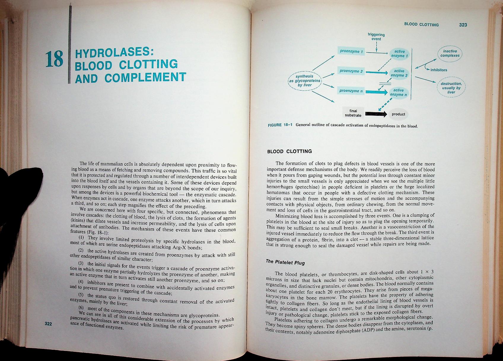 BIOCHEMISTRY A Functional Approach