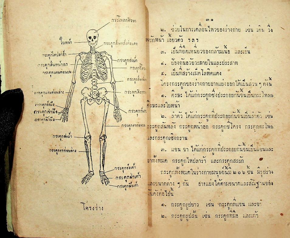 แบบเรียนสุขศึกษา ชั้นมัธยมศึกษาปีที่ ๑ ของ กระทรวงศึกษาธิการ