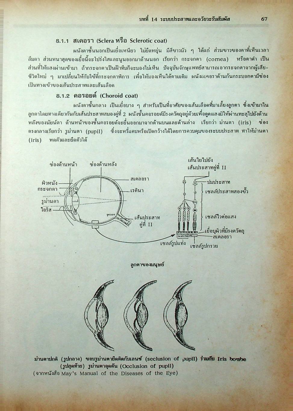 คู่มือเตรียมสอบ ชีววิทยา ม.6 เล่ม 5 ว 044