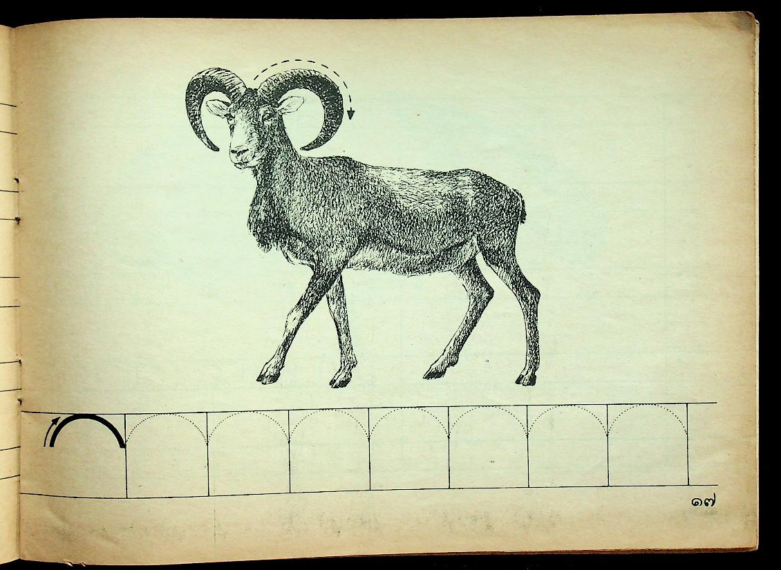 แบบฝึกการเขียนอักษรไทย ชั้นประถมศึกษาปีที่ ๑