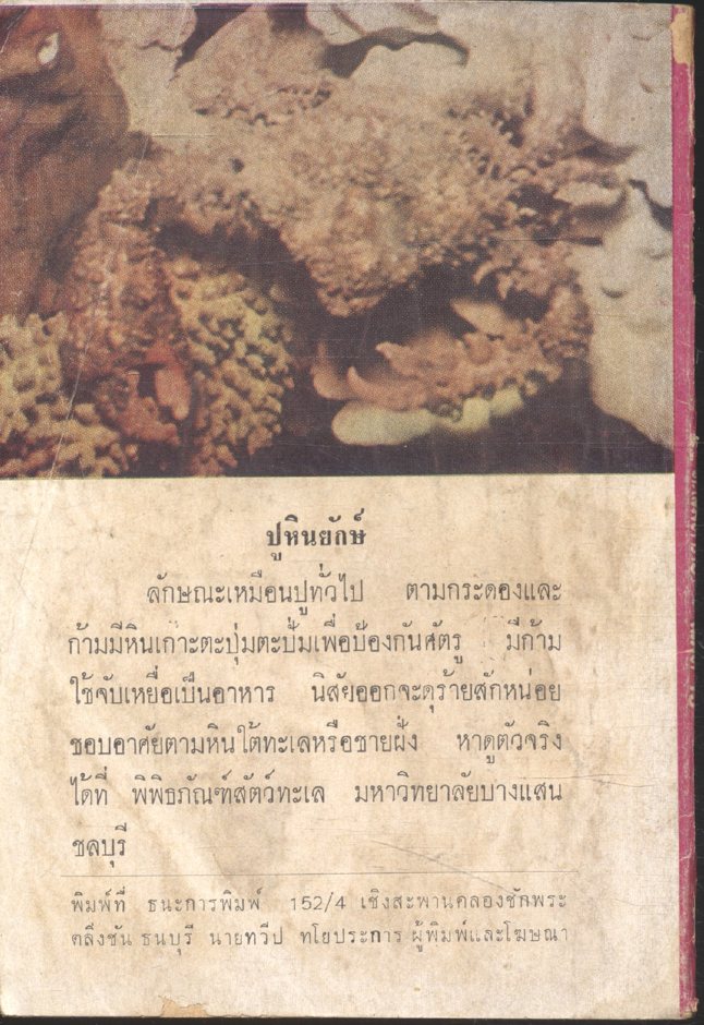 ทะเลมหาภัย เล่มที่ 15 (รัตติกรณ์) เพลินจิตต์ฉบับกระเป๋า