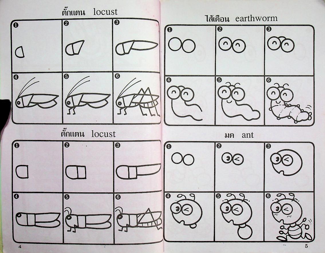 หัดวาดการ์ตูน 5 รูปแมลง
