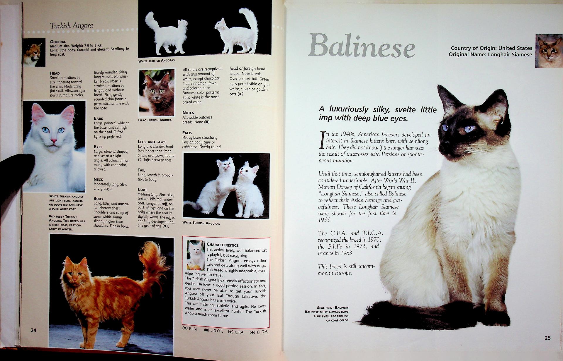 The Cat ENCYCLOPEDIA Volume 2