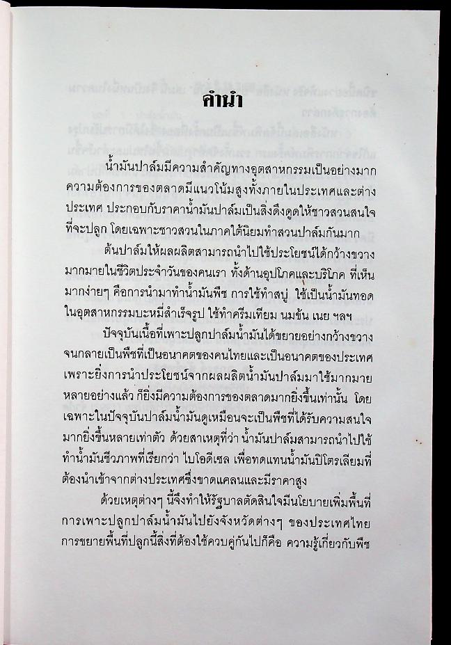 ปาล์มน้ำมัน พืชเศรษฐกิจสร้างรายได้สูงทั้งในปัจจุบันและอนาคต