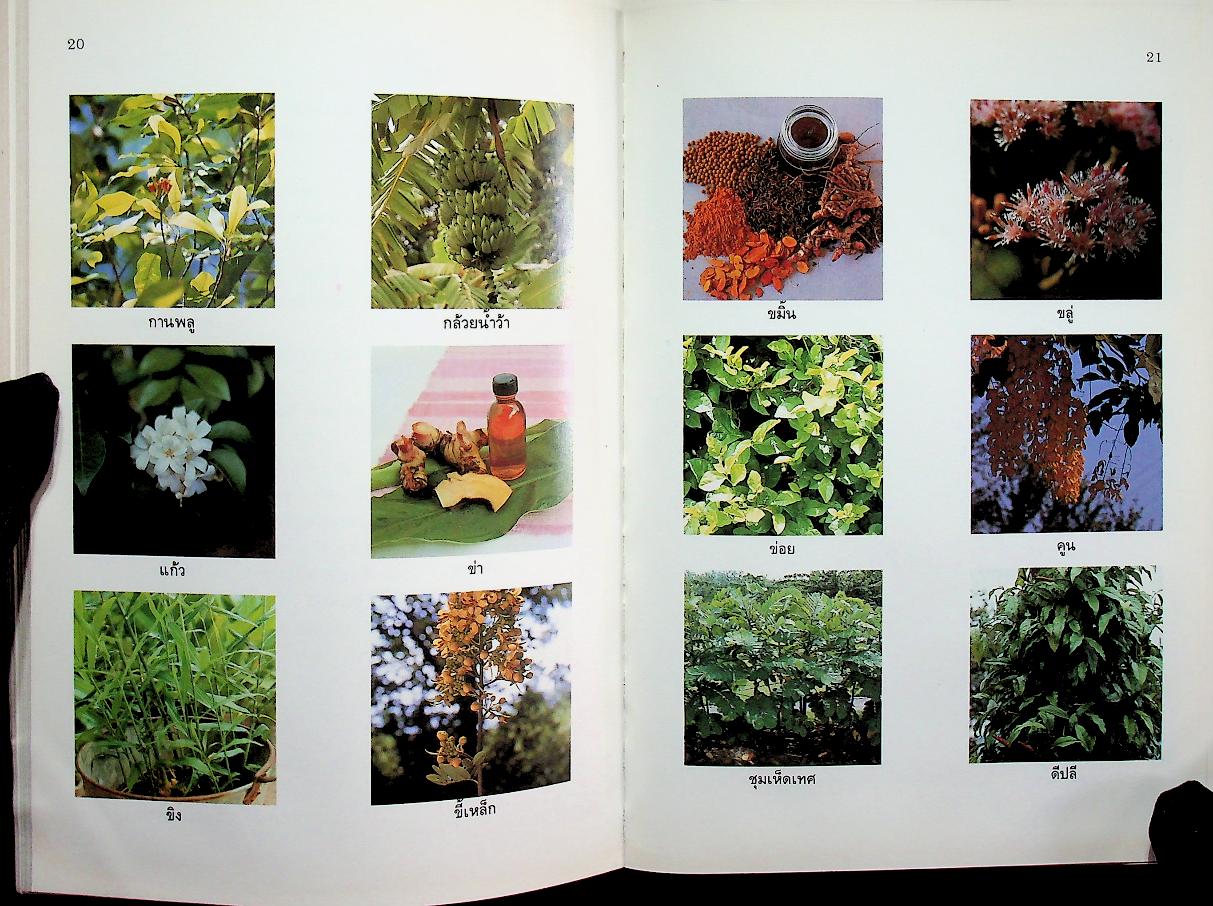 ยาสมุนไพร สำหรับงานสาธารณสุขมูลฐาน