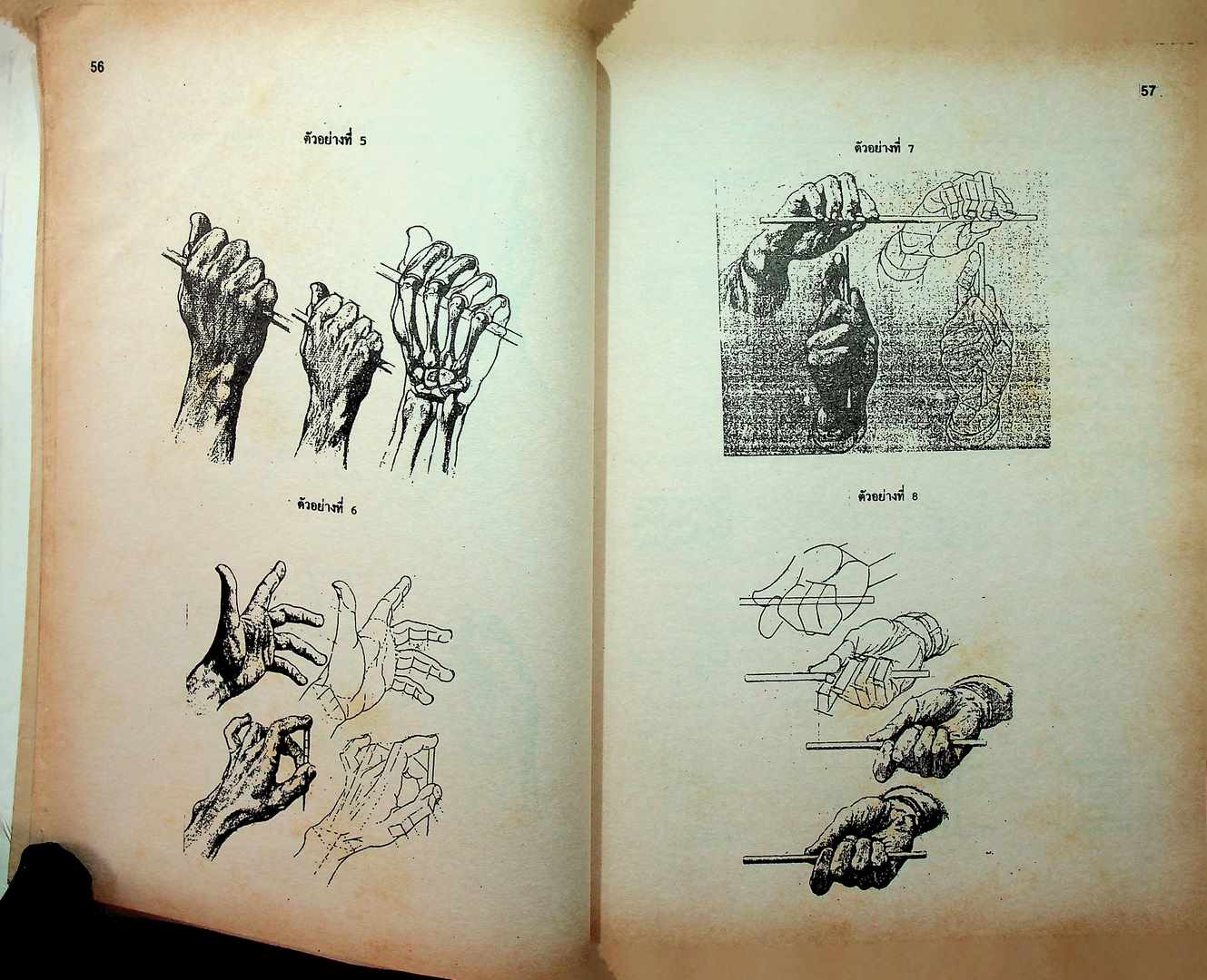 เฉลยข้อสอบ ENTRANCE ความถนัดทางศิลป์