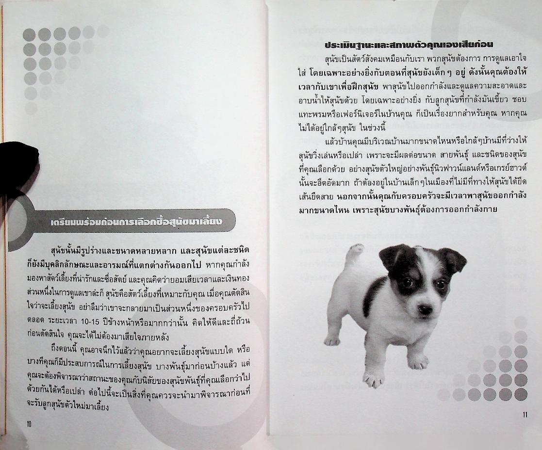 คู่มือการเลือกซื้อสุนัข