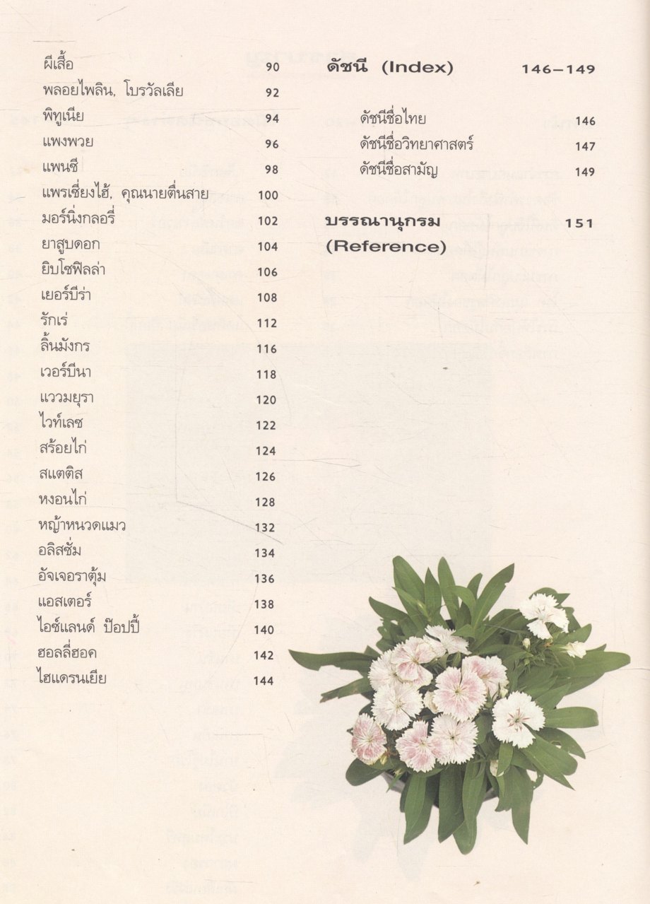 ไม้ดอกแสนสวย ไม้ดอกไม้ประดับ