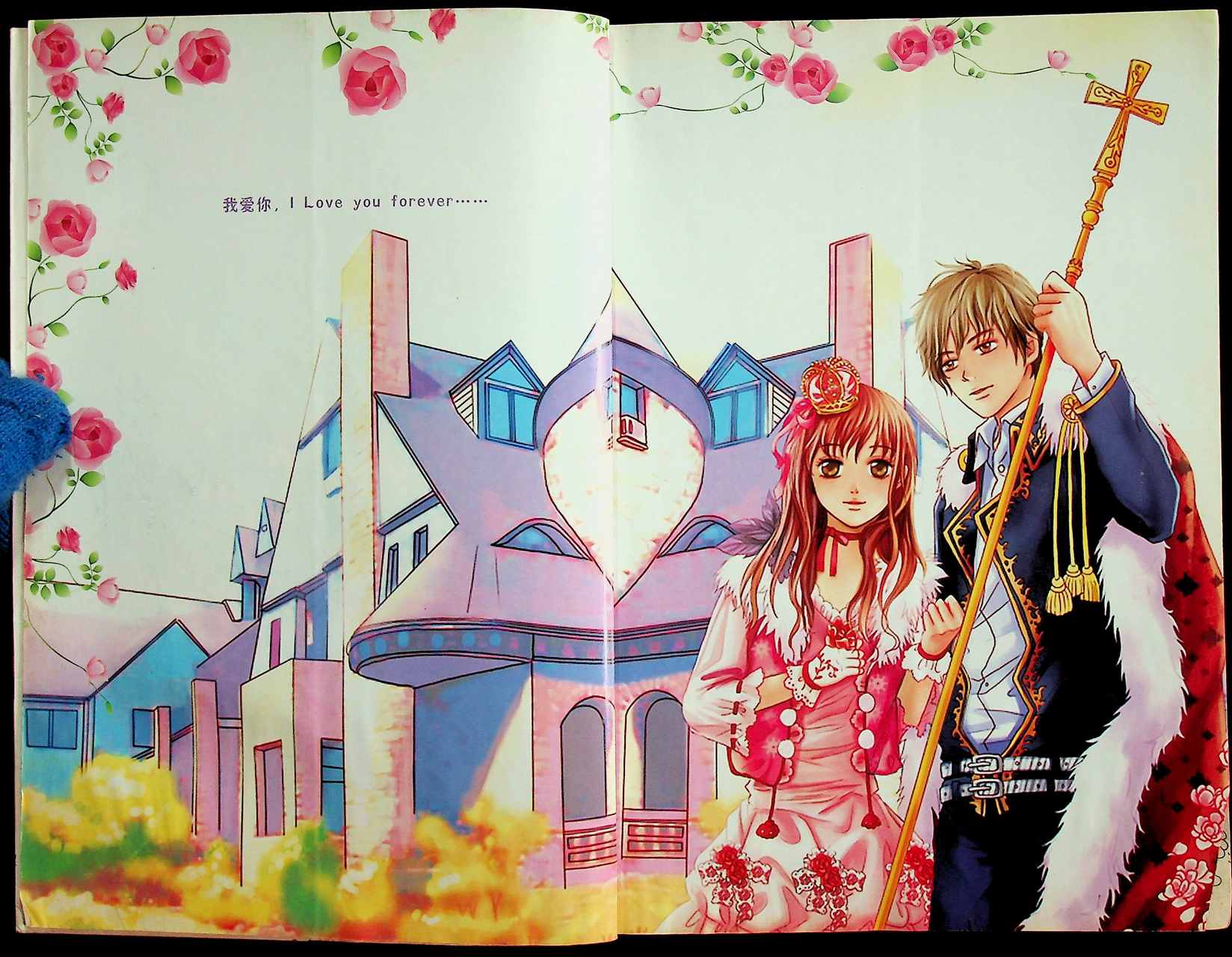 นวนิยาย ฉบับภาษาจีน