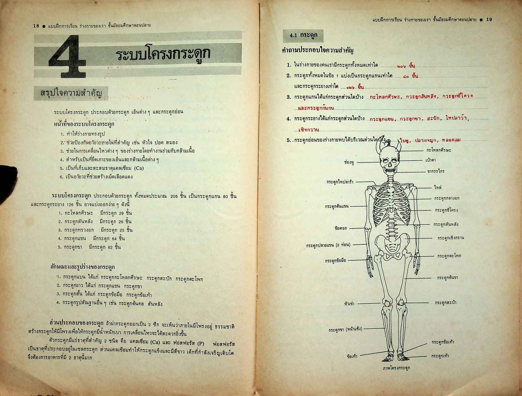 คู่มือครู-เฉลย แบบฝึกการเรียน วิชาวิทยาศาสตร์กายภาพชีวภาพ ร่างกายของเรา ตามหลักสูตรมัธยมศึกษาตอนปลาย พุทธศักราช ๒๕๒๔