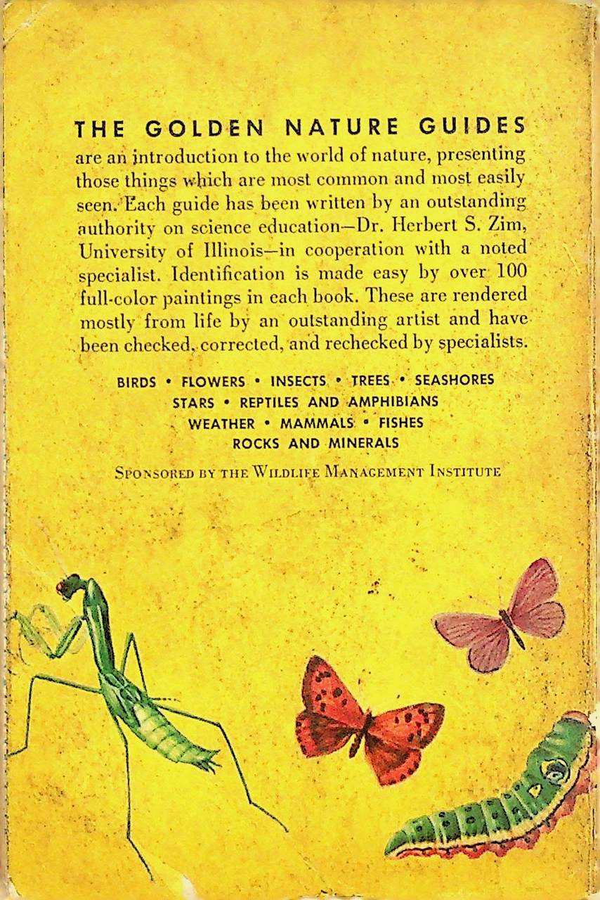 225 SPECIES IN FULL COLOR INSECTS A GUIDE TO FAMILIAR AMERICAN INSECTS