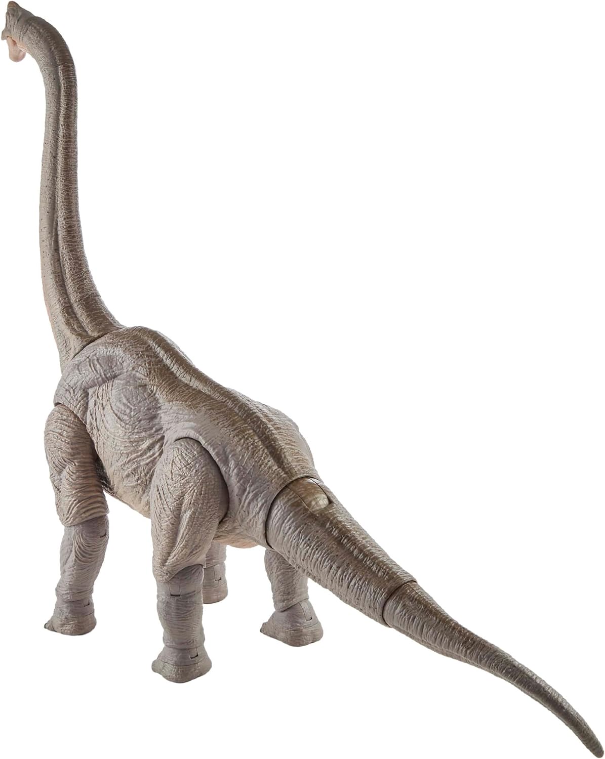 **MTS Toys**Mattel Jurassic World Hammond Collection : HNY77 Brachiosaurus [ความสูงจากหัวถึงเท้า 69 ซ.ม.]