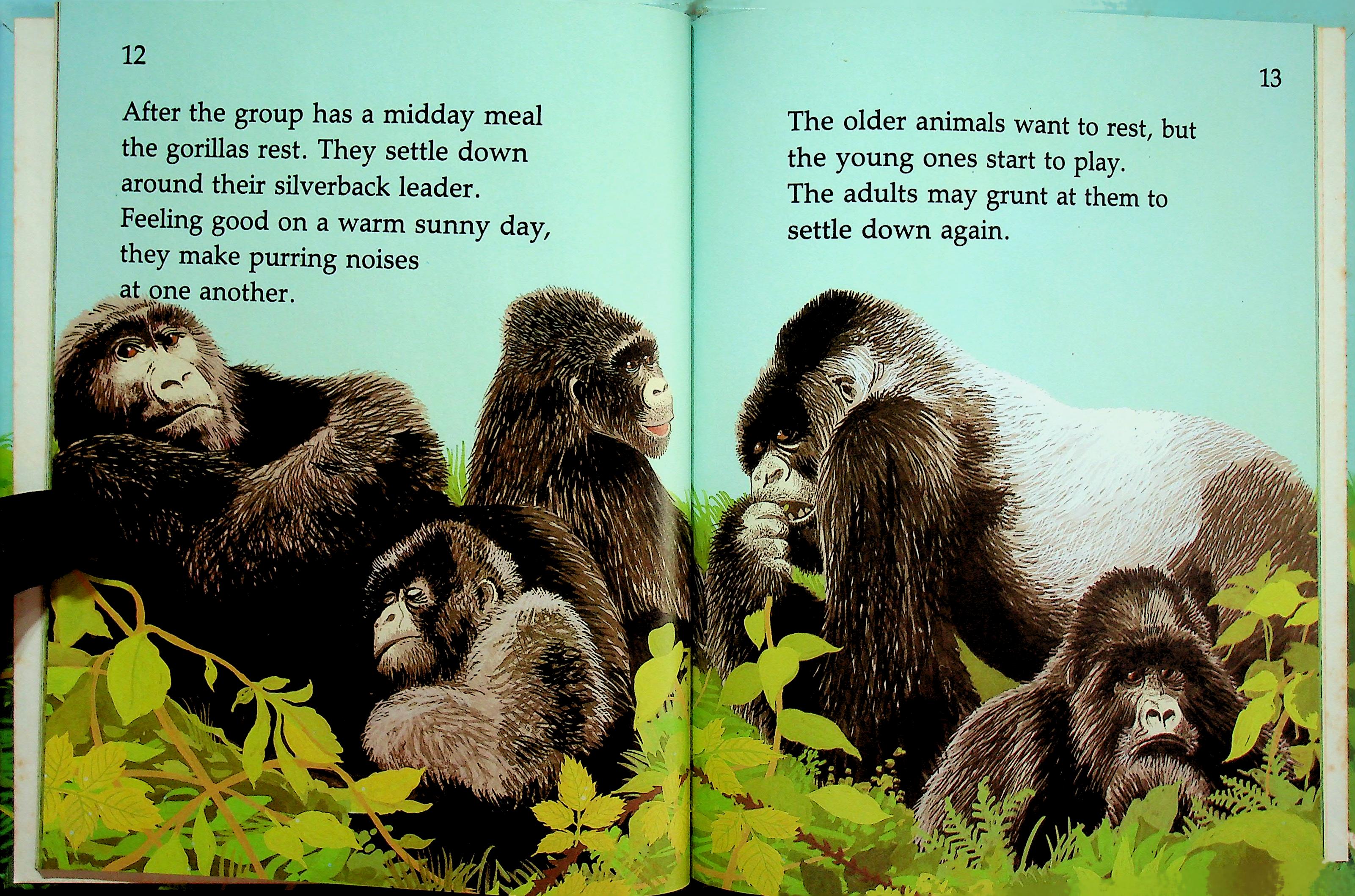 GORILLAS SAVE OUR WILDLIFE BY ALTHEA