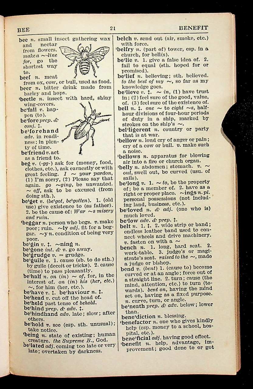 The Progressive English Dictionary