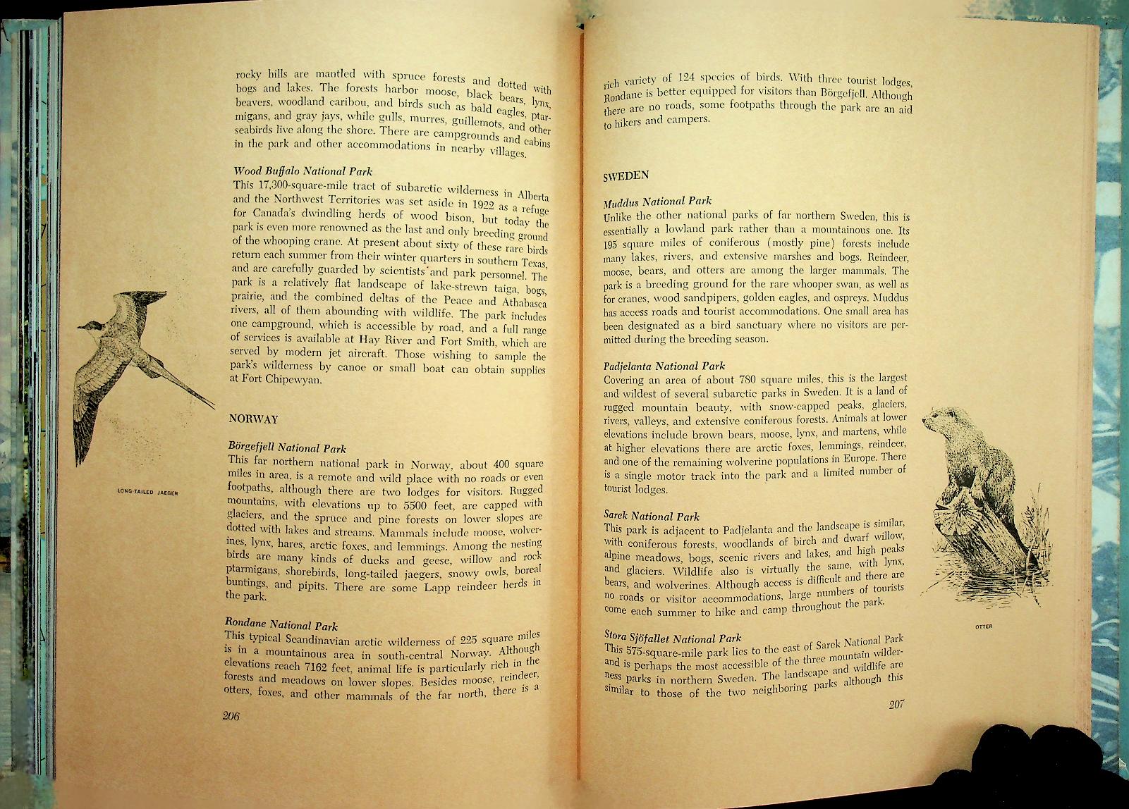 The Life of the Far North