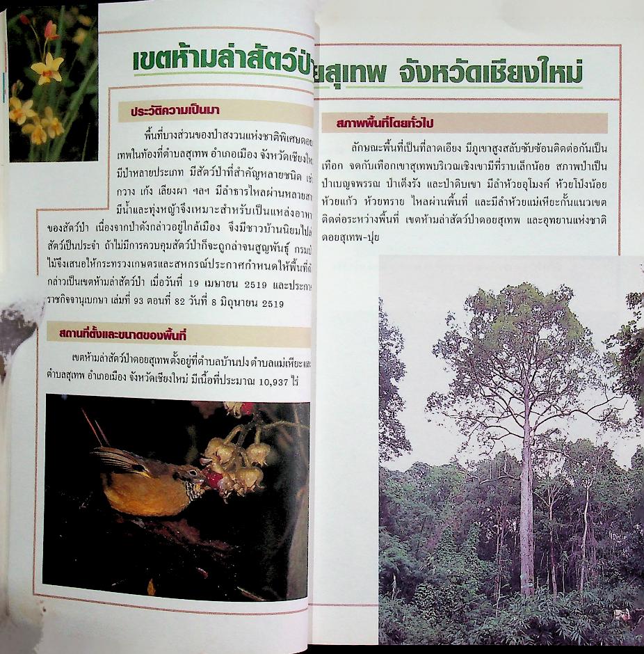 เขตห้ามล่าสัตว์ป่า ในประเทศไทย