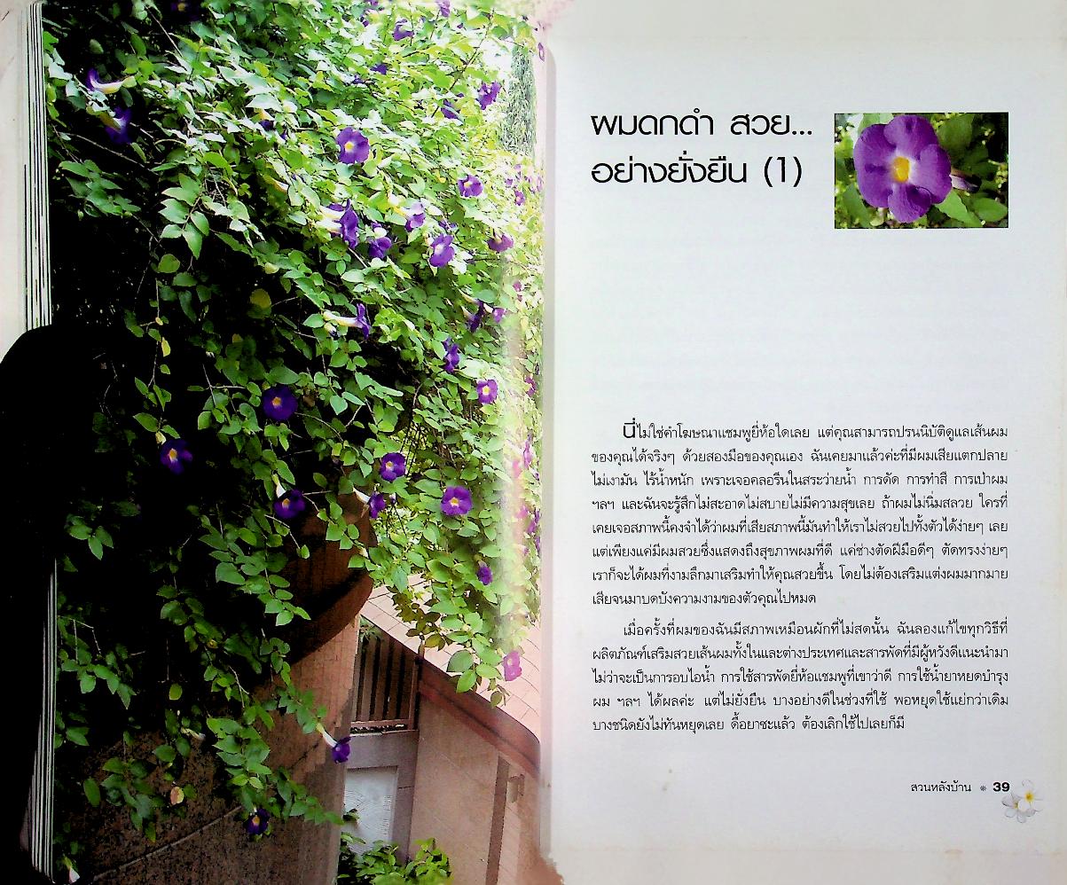 สวนหลังบ้าน : พลโท หญิง พูนภิรมย์ ลิปตพัลลภ