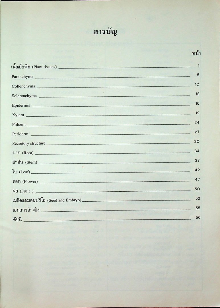 โครงสร้างภายในของพืช